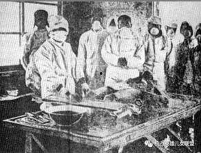 爆料日军实验室视频大全,惊悚视频大全背后的真相与秘密  第3张