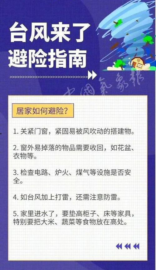 最新台风爆料新闻内容视频,揭秘“XX”台风的最新路径与影响