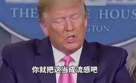 特朗普最新家族爆料图鉴,揭秘权力背后的家族秘密  第3张