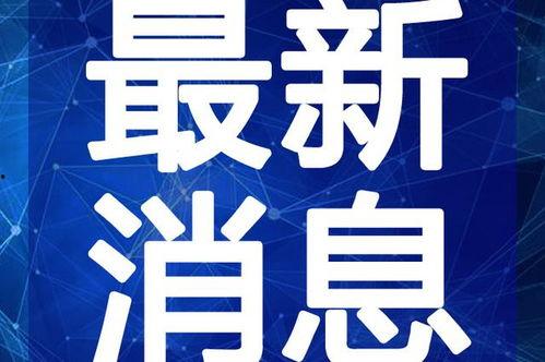 小易足球爆料视频最新,揭秘最新赛事内幕与精彩瞬间