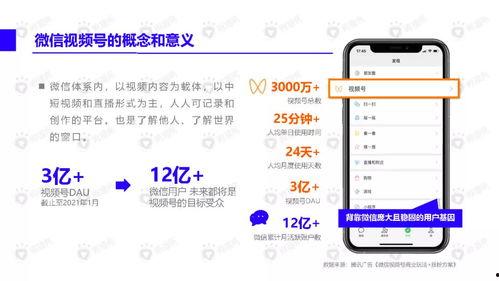 王室最新爆料新闻视频下载,最新爆料视频深度解析  第3张