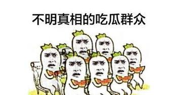 吃瓜群众全集免费播放,揭秘娱乐圈幕后真相，免费播放大揭秘  第2张