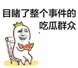 吃瓜群众全集免费播放,揭秘娱乐圈幕后真相，免费播放大揭秘  第3张